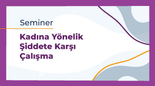 Kadına Yönelik Şiddete Karşı Çalışma